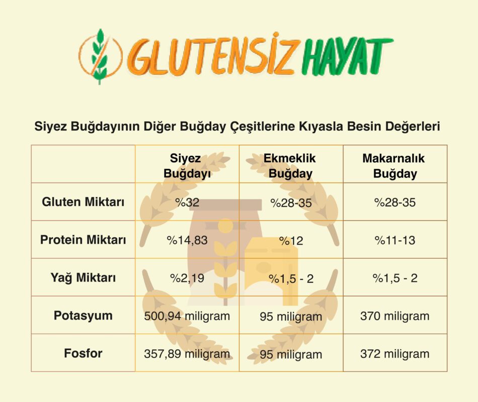 Siyez Buğdayı Besin Değerleri