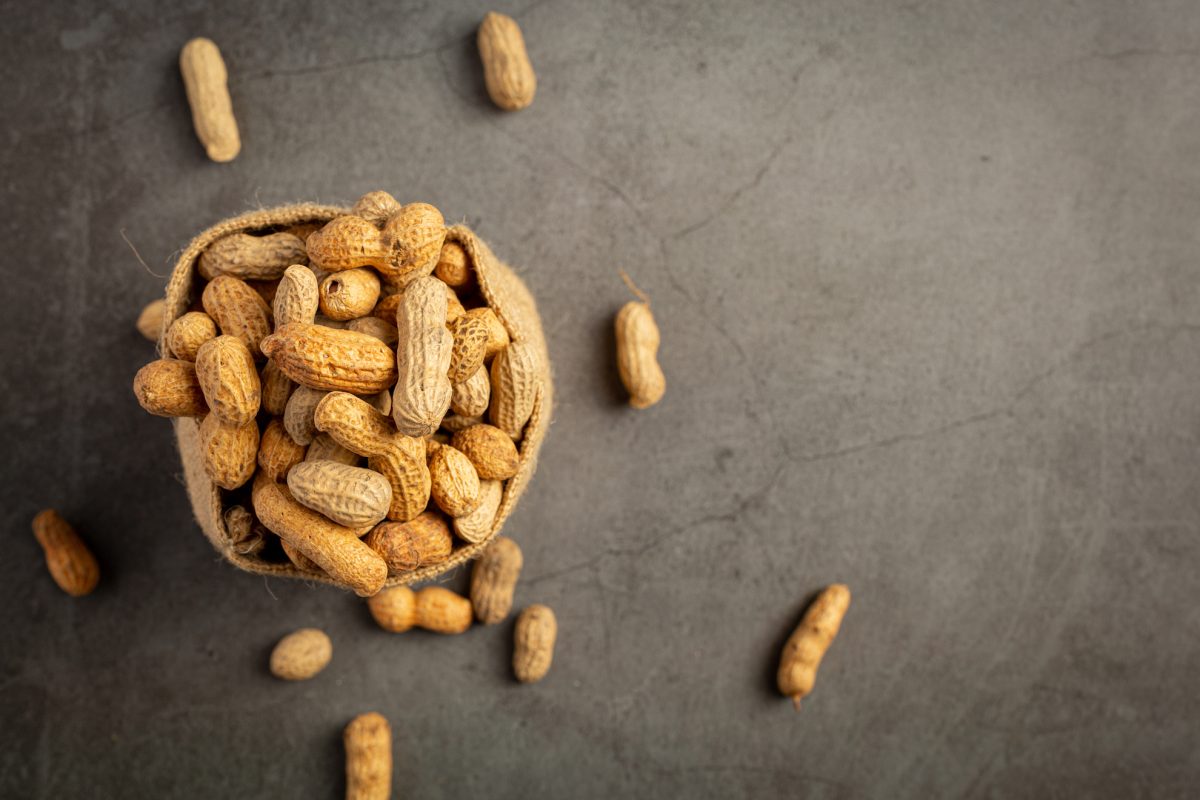 Kabuklu Fıstıkta Gluten Var mı? Yer Fıstığının Faydaları Nelerdir?