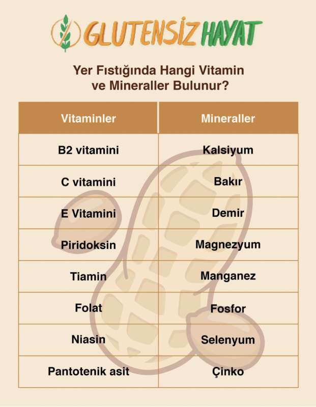 Kabuklu Fıstıkta Gluten Var mı? Yer Fıstığında Hangi Vitamin ve Mineraller Bulunur?