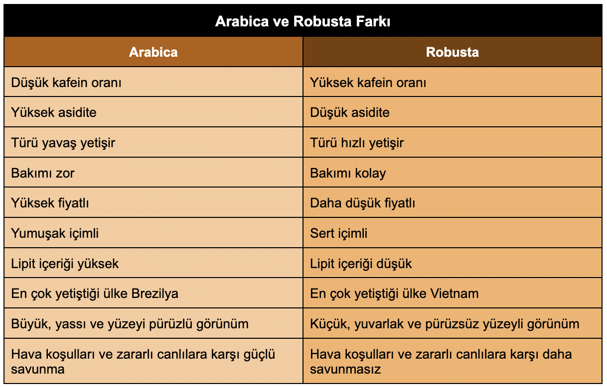Kahve Gluten İçerir mi? Arabica ve Robusta Arasındaki Farklar Nelerdir?