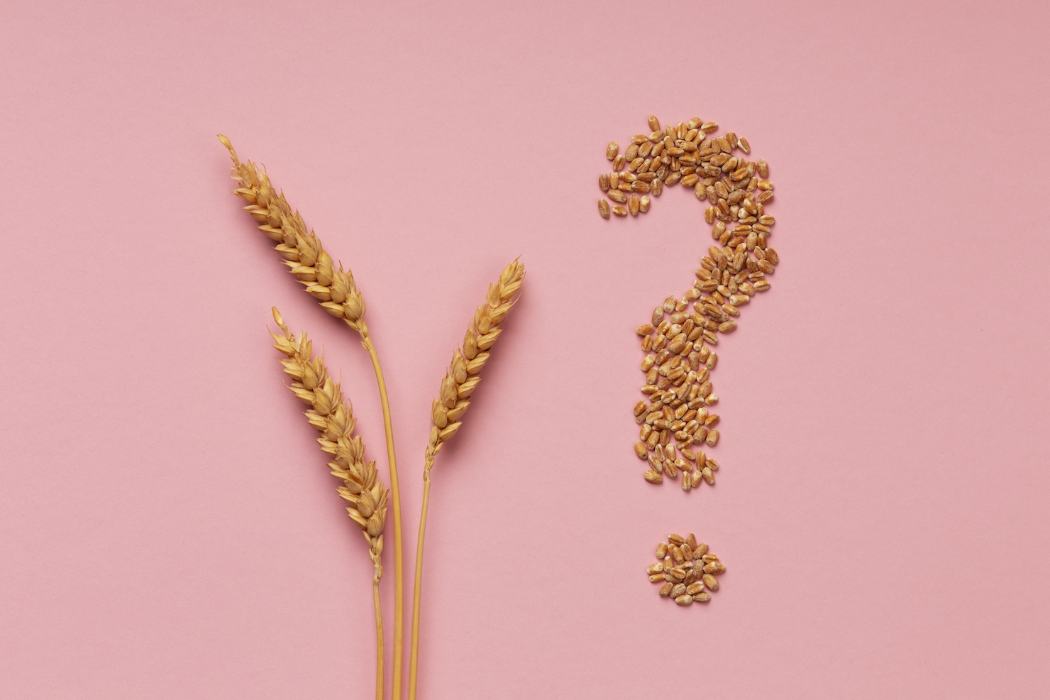 Gluten Şişliği Nasıl Geçer?