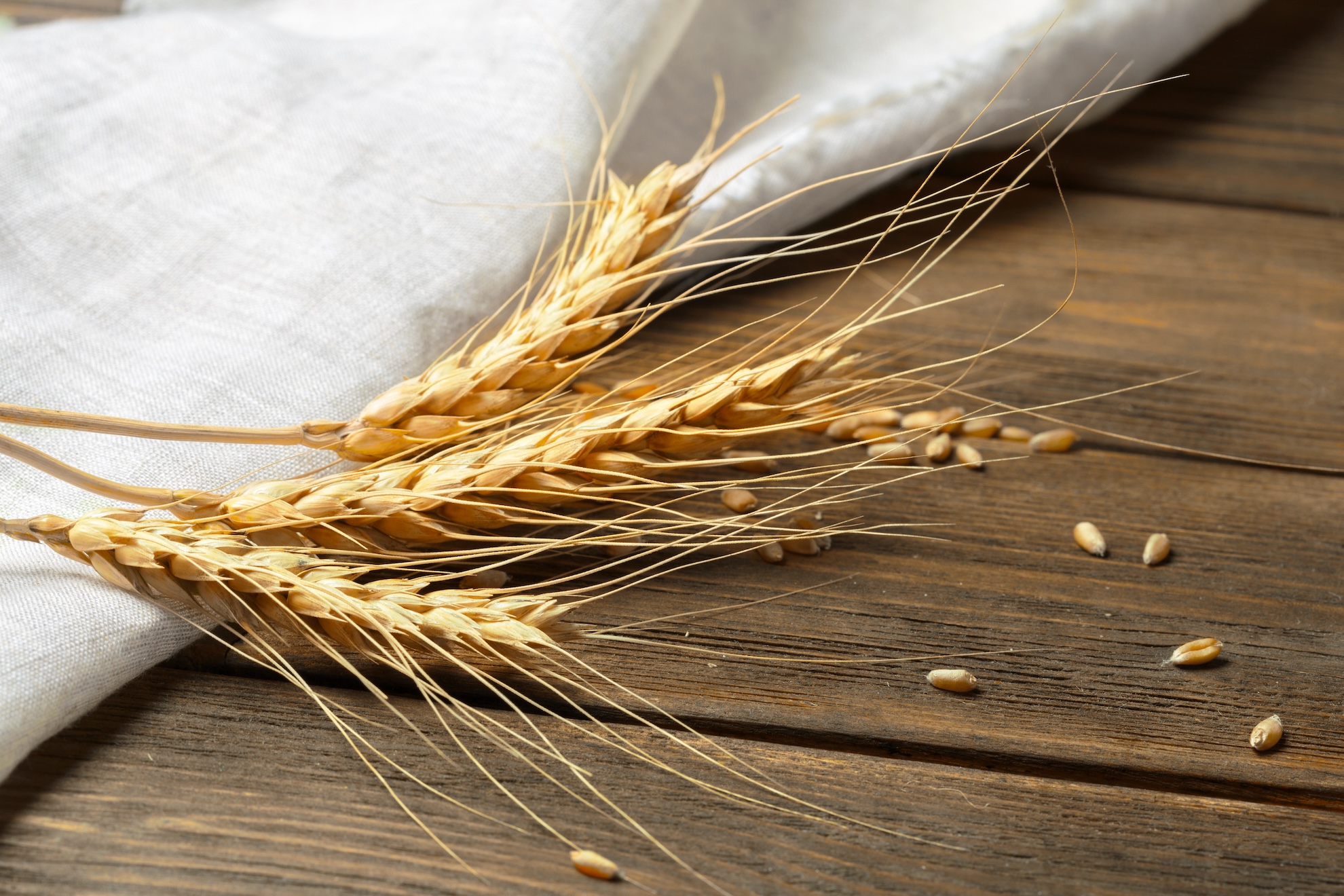 Çölyak Olmayan Gluten Duyarlılığı Nedir?